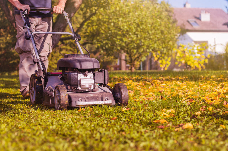 gravely pto clutch